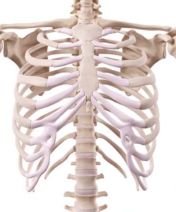 Costochondritis l Oorzaak en behandeling l Deurne